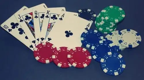casinu